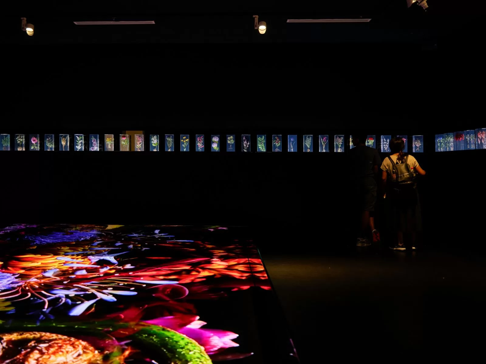 Top Use Cases for Interactive LED Floor Displays in Modern Museums